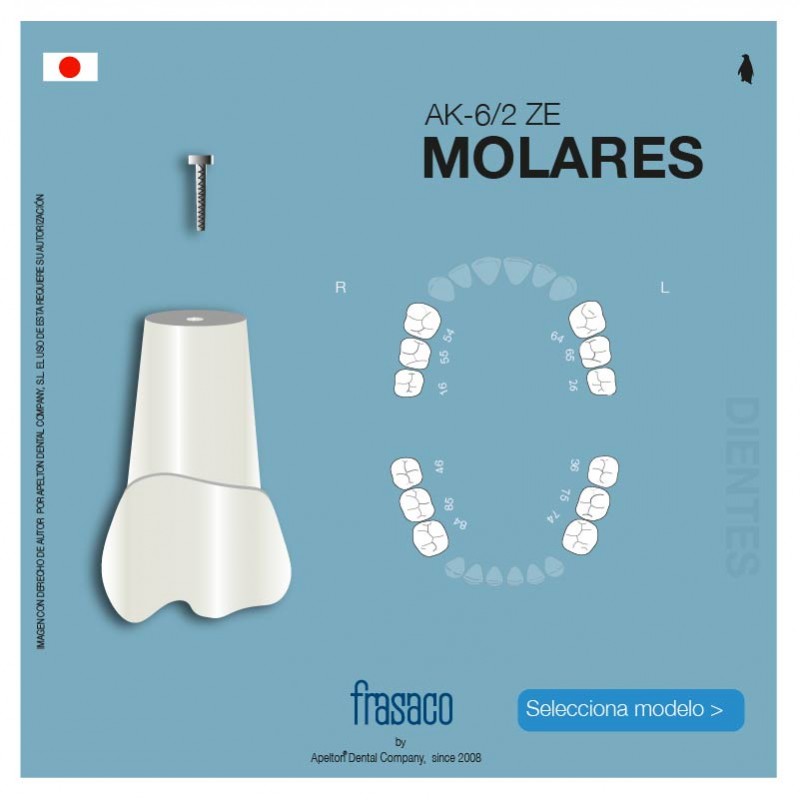 CHILDREN'S TEETH MOLARS AK-6/2 ZE FRASACO
