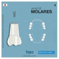 DIENTES INFANTIL MOLARES AK-6/2 ZE FRASACO
